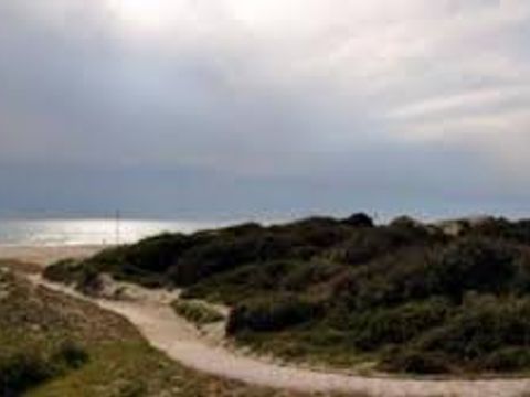 Camping Internazionale Castelfusano - Camping Rome - Image N°13
