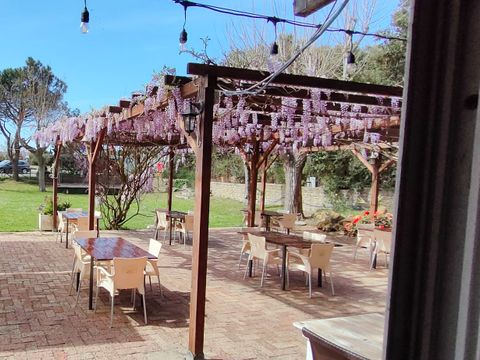 Camping Internazionale Castelfusano - Camping Rome - Image N°22
