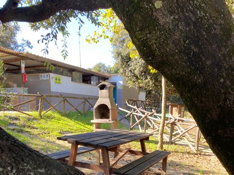 Camping Internazionale Castelfusano - Camping Rome - Image N°23