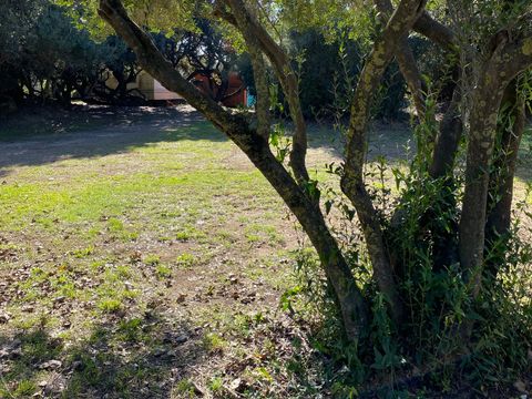 Camping Internazionale Castelfusano - Camping Rome - Image N°27