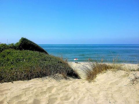 Camping Internazionale Castelfusano - Camping Rome - Image N°2