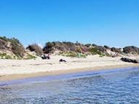 Camping Internazionale Castelfusano - Camping Rome - Image N°12