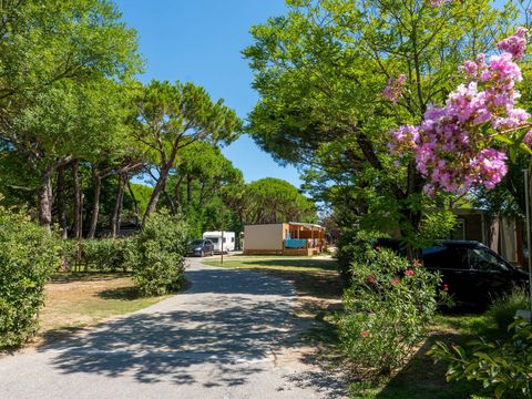Malibu Beach Camping Village - Camping Venise - Image N°11