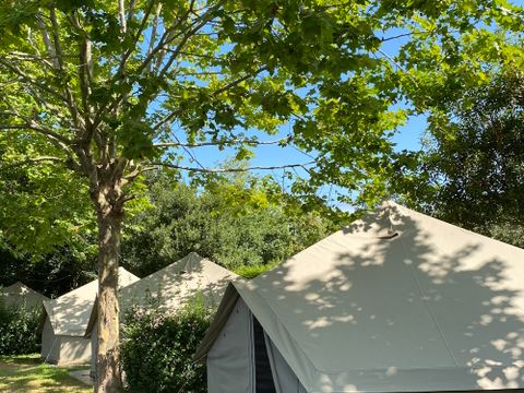 Wecamp Cudillero - Camping Asturies - Image N°4