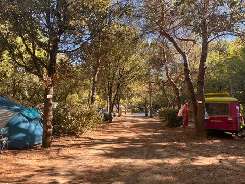 Camping Les Bords de Cèze - Camping Gard - Image N°9