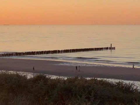 Siblu Camping In de Bongerd - Camping Veere - Image N°25