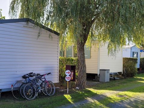Camping à la Belle étoile - Camping Vendée - Image N°31