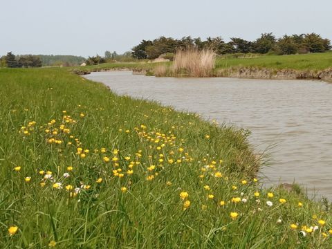 Camping à la Belle étoile - Camping Vendée - Image N°12
