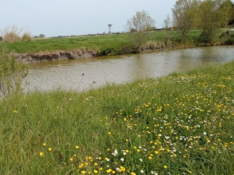 Camping à la Belle étoile - Camping Vendée - Image N°11