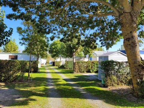 Camping à la Belle étoile - Camping Vendée - Image N°30