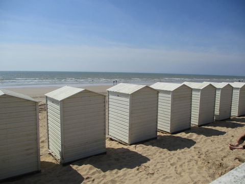 Camping à la Belle étoile - Camping Vendée - Image N°16