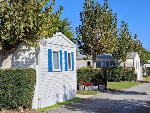 Camping à la Belle étoile - Camping Vendée - Image N°29