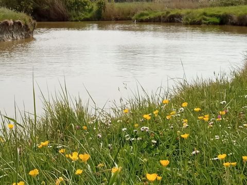 Camping à la Belle étoile - Camping Vendée - Image N°13