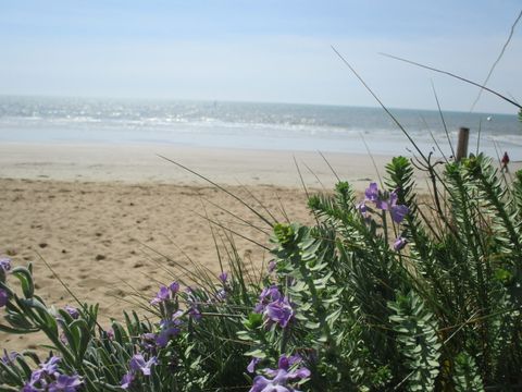 Camping à la Belle étoile - Camping Vendée - Image N°19