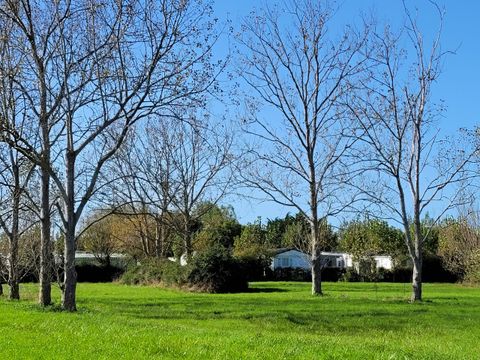 Camping à la Belle étoile - Camping Vendée - Image N°21