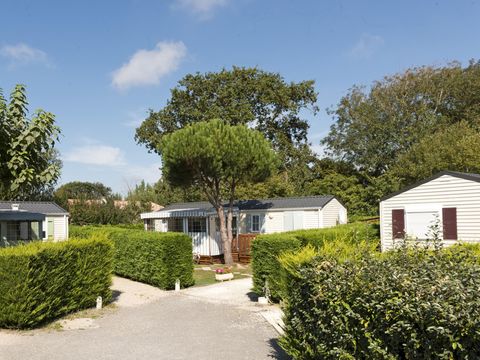 Camping l'Eden - Camping Vendée - Image N°2