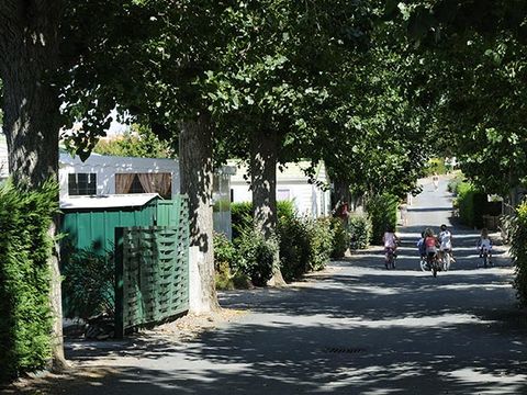 Camping l'Eden - Camping Vendée - Image N°16