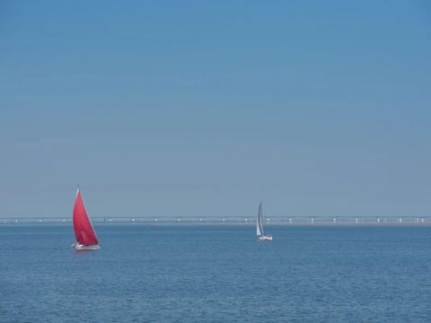 Oosterscheldepark de Stelhoeve - Camping Kapelle - Image N°8