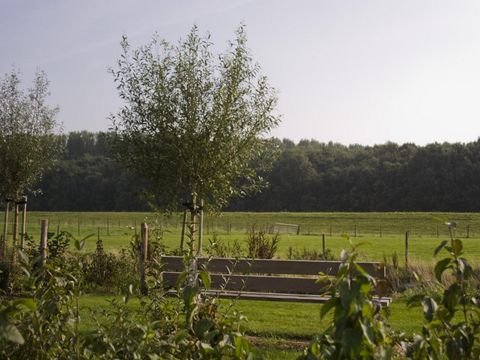 Oosterscheldepark de Stelhoeve - Camping Kapelle - Image N°6
