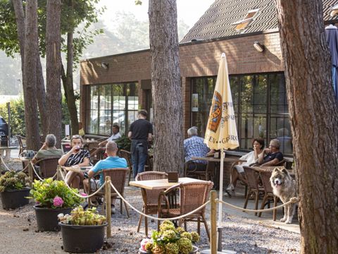 Camping Zavelbos - Camping Limburg Belge - Image N°12