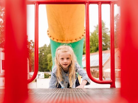 Camping Zavelbos - Camping Limburg Belge - Image N°19
