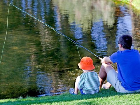 Camping Zavelbos - Camping Limburg Belge - Image N°31
