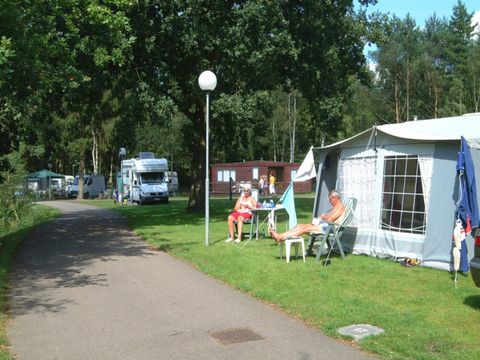 Camping Zavelbos - Camping Limburg Belge - Image N°2