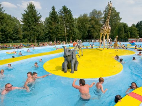 Camping Zavelbos - Camping Limburg Belge - Image N°15