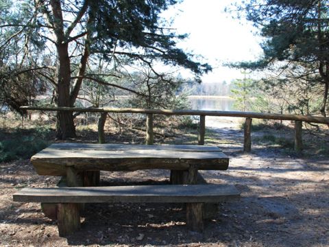 Camping Zavelbos - Camping Limburg Belge - Image N°30