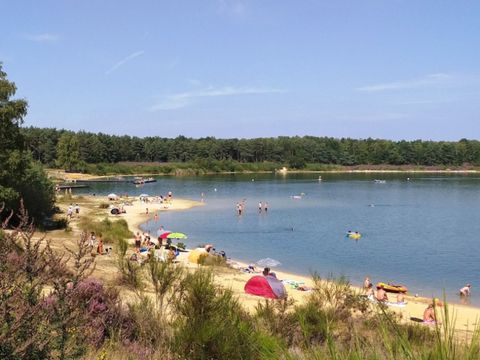 Camping de Binnenvaart - Camping Limburg Belge - Image N°16
