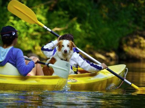 Arden Parks Petite Suisse - Camping Liège - Image N°15