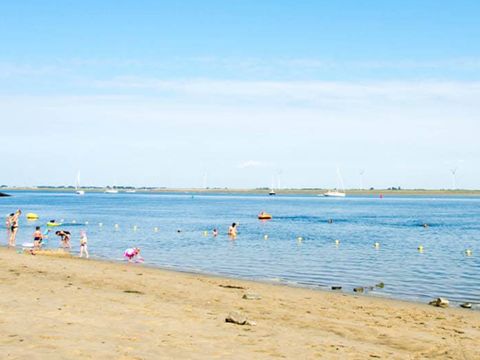 Chaletparc Krabbenkreek Zeeland - Camping Tholen - Image N°8