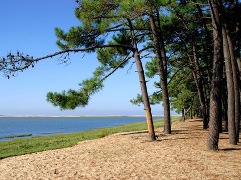 Camping Sandaya Les Mathes - Camping Charente-Maritime - Image N°2
