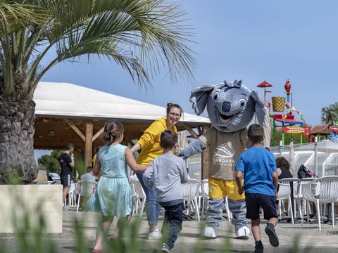 Camping Sandaya Sanguinet Plage - Camping Landes - Image N°22