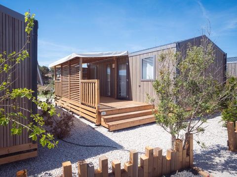 Domaine des Tamaris Pausado - Camping Bouches-du-Rhône - Image N°13