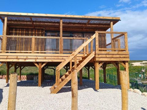 Domaine des Tamaris Pausado - Camping Bouches-du-Rhône - Image N°33