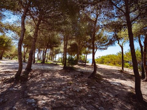 Domaine des Tamaris Pausado - Camping Bouches-du-Rhône - Image N°48