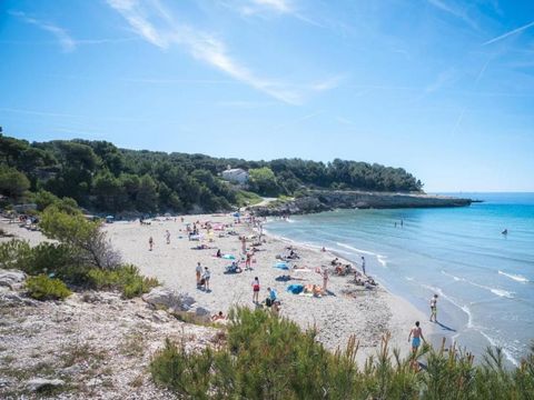 Domaine des Tamaris Pausado - Camping Bouches-du-Rhône - Image N°6