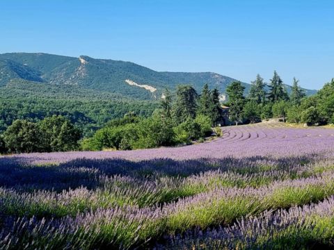 Camping Le Luberon | Pausado - Camping Vaucluse - Image N°42