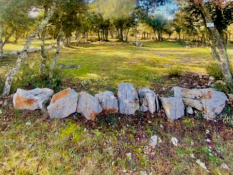 Emplacement - Emplacement Confort