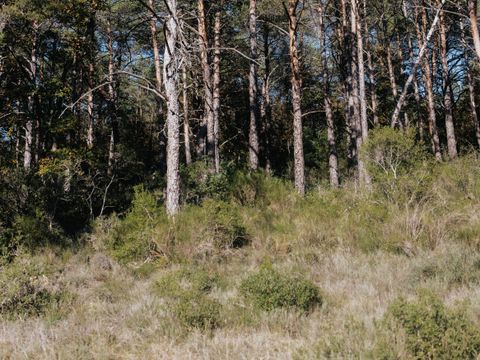 Emplacement - Emplacement Confort