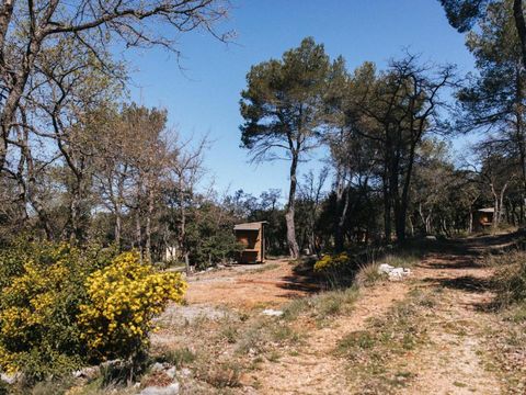 Camping Liberte Verdon - Camping Var - Image N°36