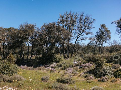 Camping Liberte Verdon - Camping Var - Image N°51
