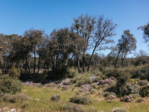 Camping Liberte Verdon - Camping Var - Image N°43