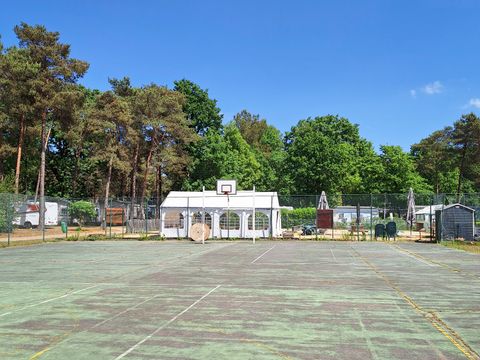 TENTE TOILE ET BOIS 4 personnes - Tente safari