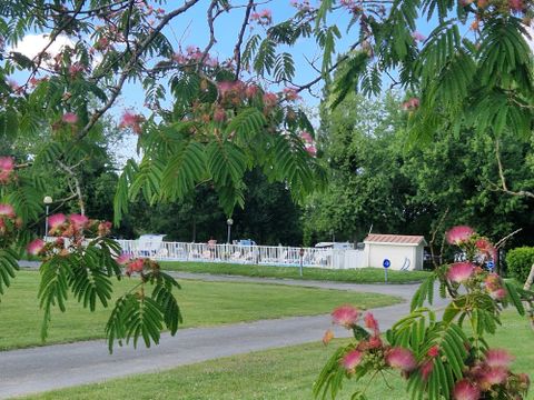 Camping Saintes Grandes Rives - Camping Charente-Maritime - Image N°8