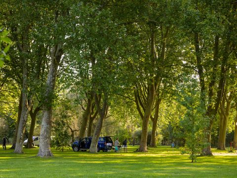 Camping Saintes Grandes Rives - Camping Charente-Maritime - Image N°2