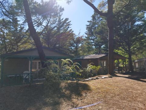 Domaine de la Presqu'île Domaine de la Presqu'île - Camping Vendée - Image N°16