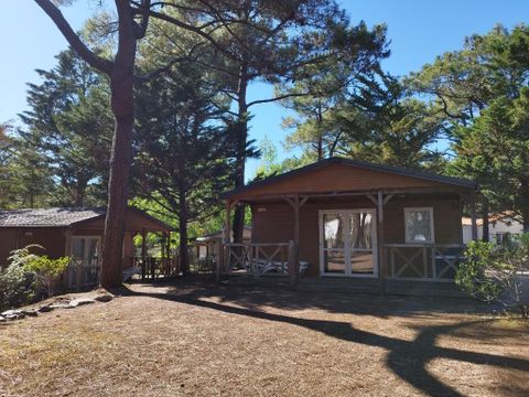 Domaine de la Presqu'île Domaine de la Presqu'île - Camping Vendée - Image N°6