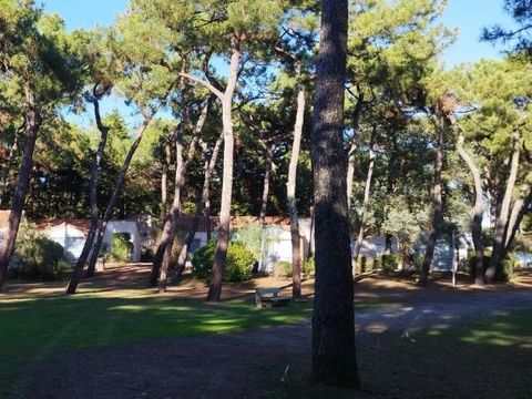 Domaine de la Presqu'île Domaine de la Presqu'île - Camping Vendée - Image N°5